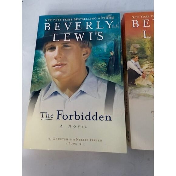 Complete THE COURTSHIP OF NELLIE FISHER Series 1-3 Beverly Lewis Book Lot - Picture 2 of 7